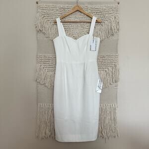 NWT: Dress the Population Nicole Dress